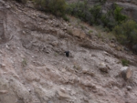 IMG 0002a (10)
